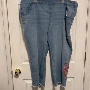 The Pioneer Woman Blue Jeans with Floral Detail